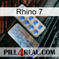 Rhino 7 39